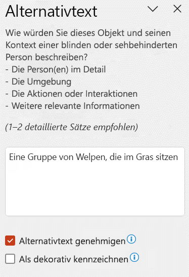 Automatischer Alternativtext, der im Alternativtextbereich angezeigt wird, wenn das Kontrollkästchen „Alternativtext genehmigen“, aktiviert ist.