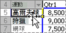 移動樞紐分析表中項目的範例